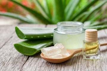 The Amazing Benefits of Aloe Vera for Your Skin - Rüh Essentials